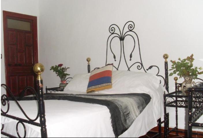 Hostel The Atlas Lion Ταγγέρη Εξωτερικό φωτογραφία